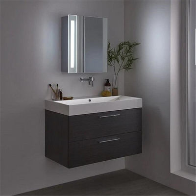 Cabinet de salle de bains 1460kgs/M3 imperméable, casier en stratifié de HPL avec le miroir